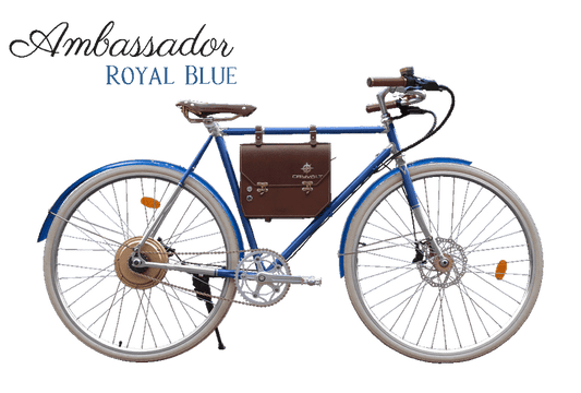 Rayvolt Ambassador