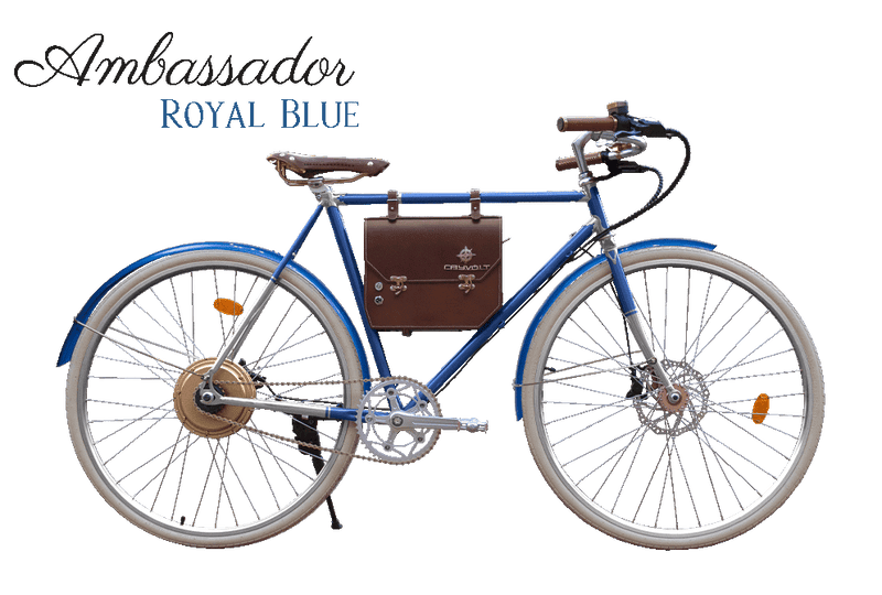 Rayvolt Ambassador